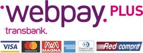 Pago Online Pago Online
